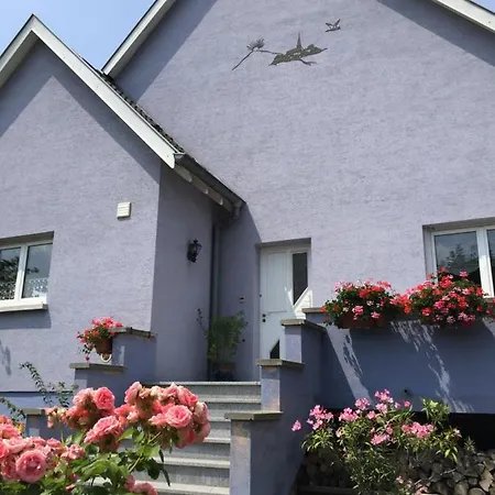 Les Mesanges De L'ill Andolsheim