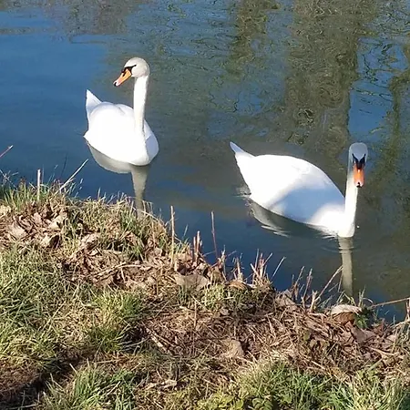 Les Mesanges De L'ill 3* Andolsheim