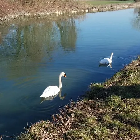Les Mesanges De L'ill 3* Andolsheim