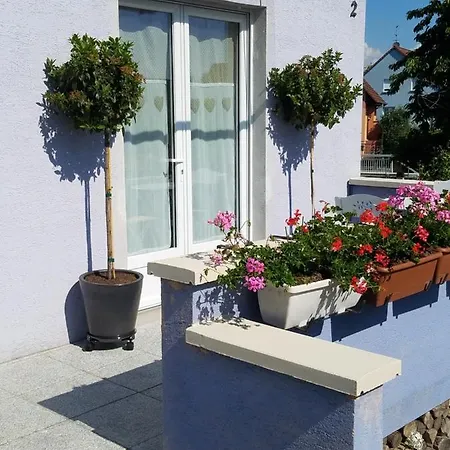 Les Mesanges De L'ill